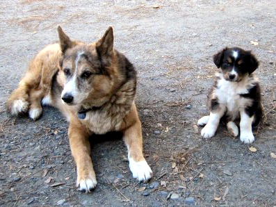 Kinsey & Foxy